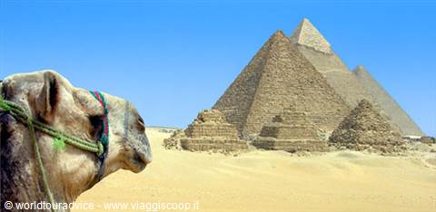 Christmas In Egypt