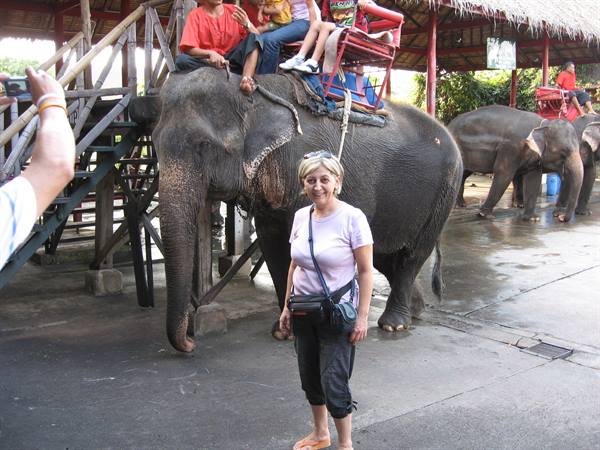 Smiling tourist beside a saddled elephant at a wooden boarding station