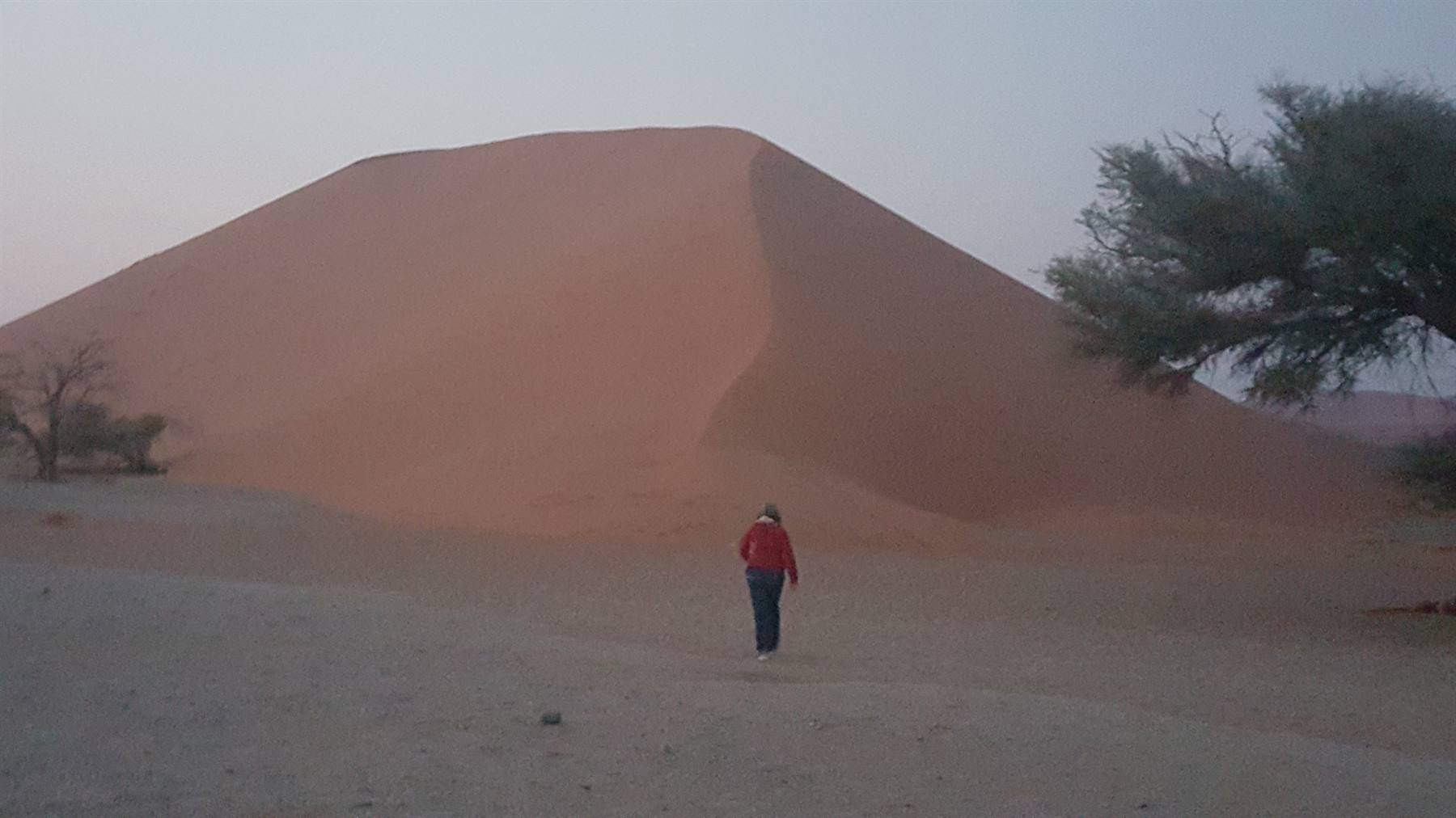Persona in giacca rossa cammina verso l'immensa duna rossa, Sossusvlei