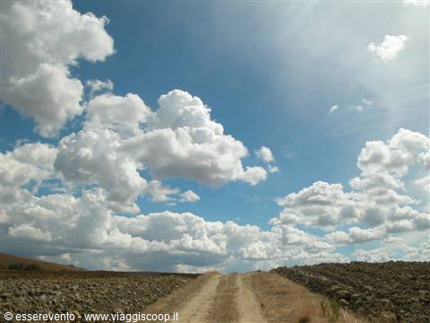 Dirt road through plowed fields under white cumulus clouds and blue sky