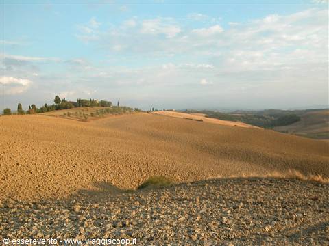 Plowed ochre hill with cypress trees and distant farmhouse, cloudy sky
