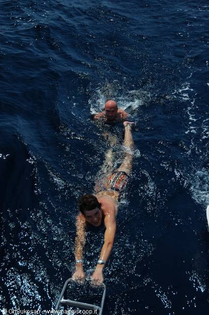 Two men swim in open sea, one climbs up the metal ladder