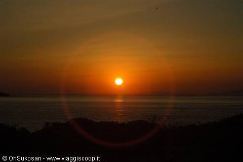 Low sun over the sea horizon, dark vegetation silhouettes in the foreground