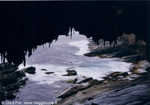 kangaroo island