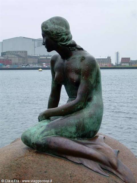 little mermaid