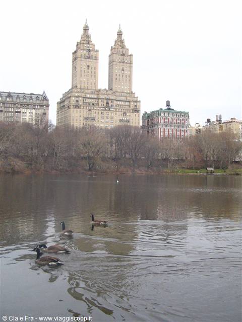 the towers of Central Park