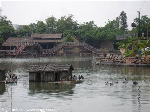 Bamboo huts on rafts in the lake with ducks and wooden bridges