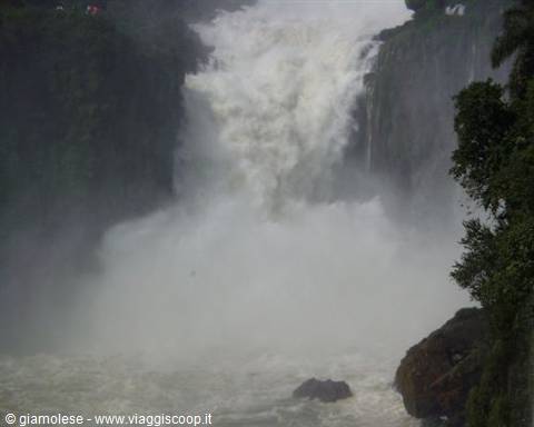 Powerful waterfall with foaming white water crashing among rocks and green trees