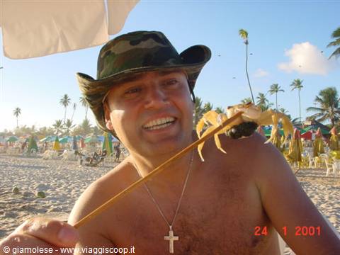 the shrimp