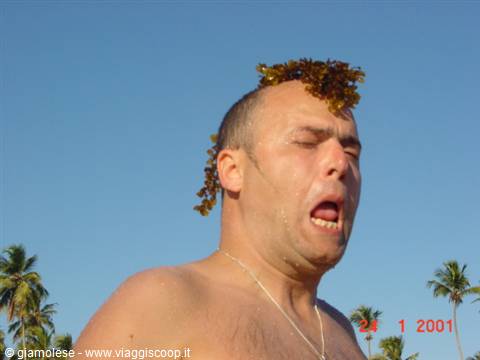 Man on beach with brown seaweed on his head, palm trees and blue sky behind