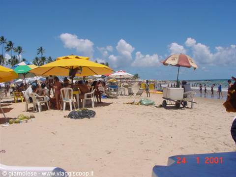 salvador beach