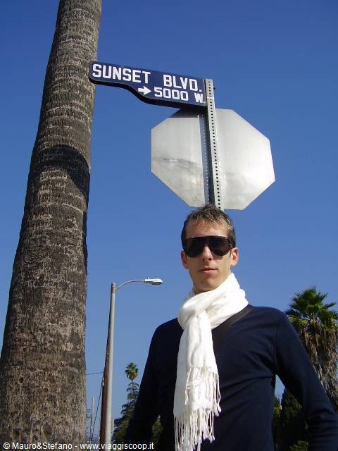 Stefano on Sunset Blvd