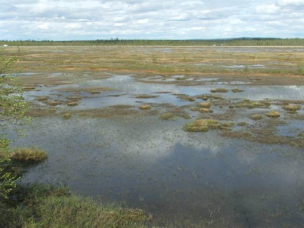 Water and land.