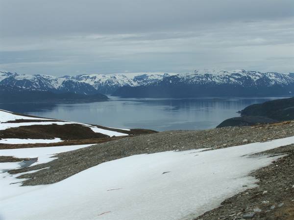 Along the fjord of Skibotn