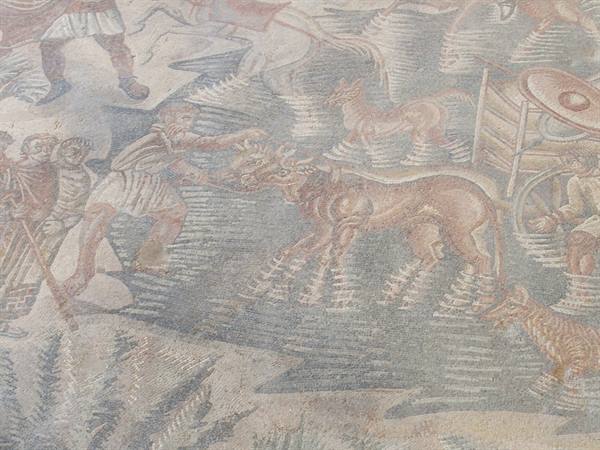 Roman Villa of Tellaro, details of the mosaics