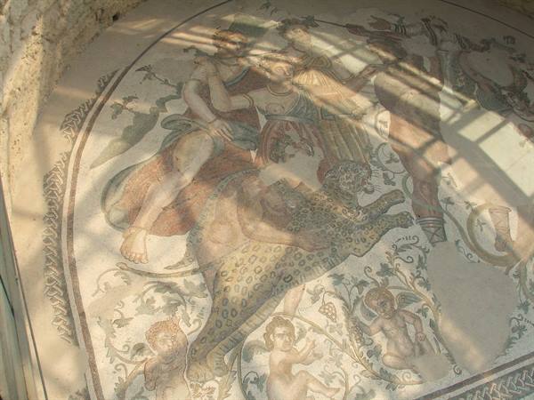 Roman Villa of Casale, details of the mosaics