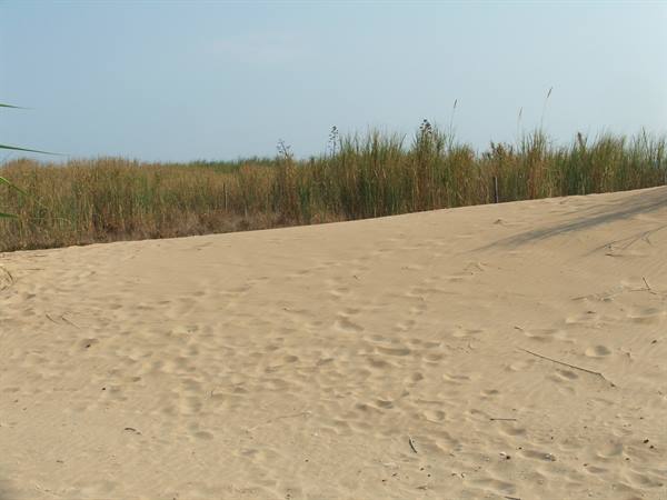 Sampieri, dunes.