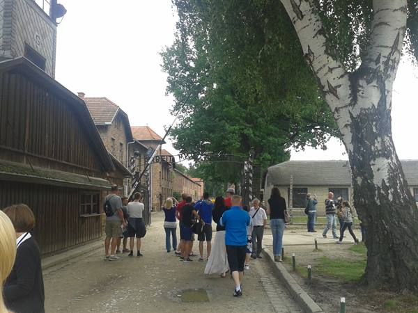Auschwitz