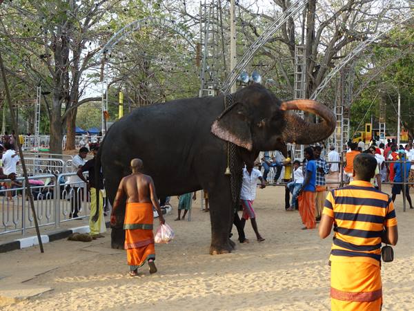Ceremony at Kataragama