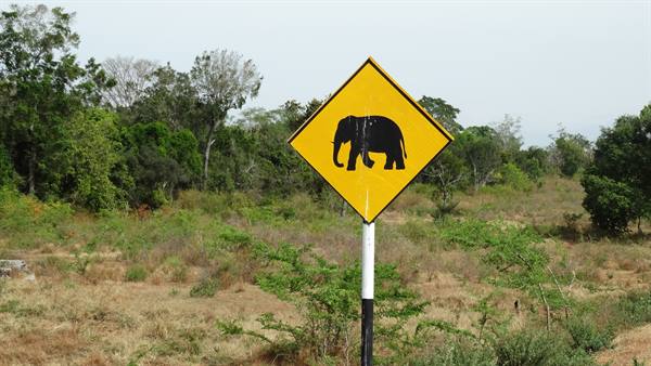 ..road signs...