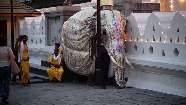 Kandy, Perahera