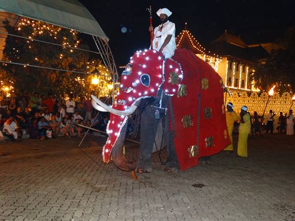 Kandy, Perahera