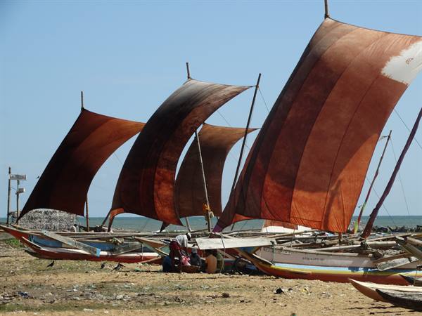 Negombo, outrigger boats
