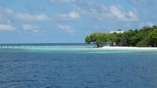 Wooden jetty over turquoise water toward white beach with trees and houses