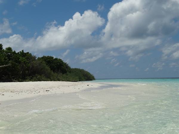White sand beach with turquoise water and green trees, Maldives
