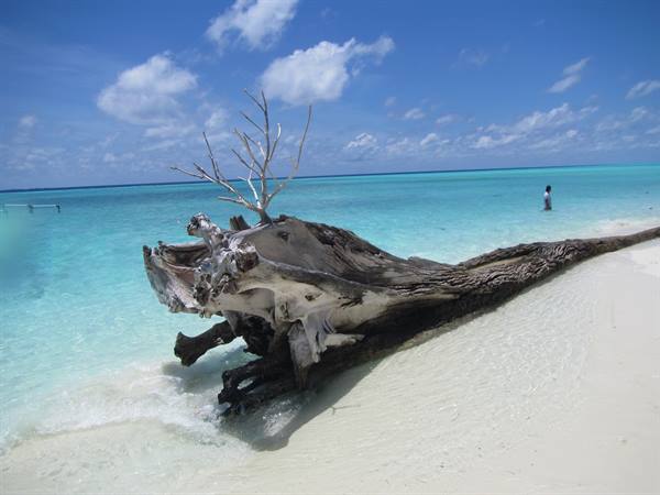 Bleached driftwood trunk on white sand, turquoise sea, swimmer under clouds