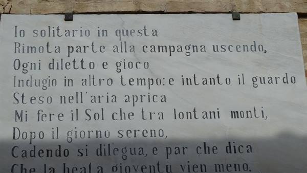 ..The lonely sparrow...In Recanati.