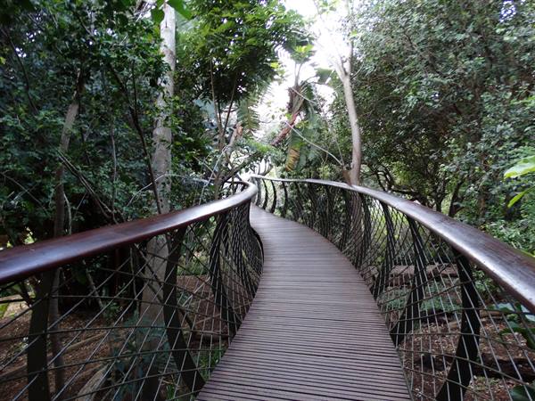 Kirstenbosch Garden