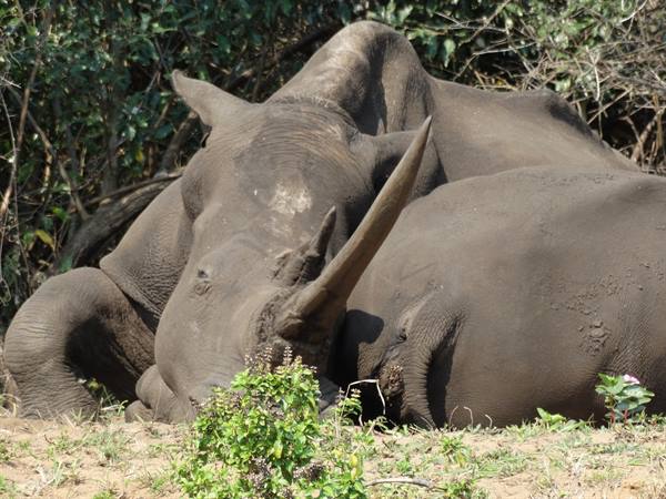 iSimangaliso