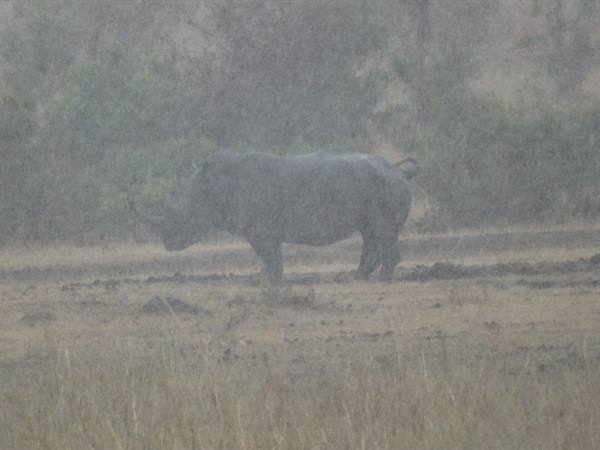 Kruger
