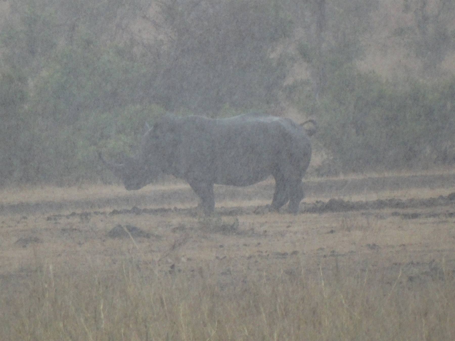 Kruger
