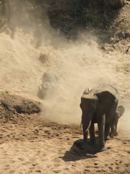 ..descent into the sand....