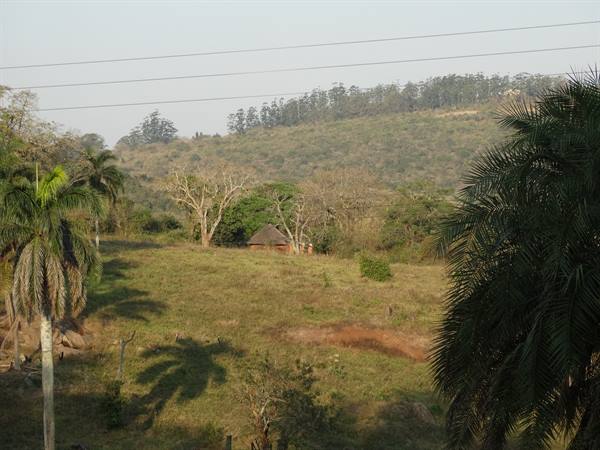 Mabuda Farm