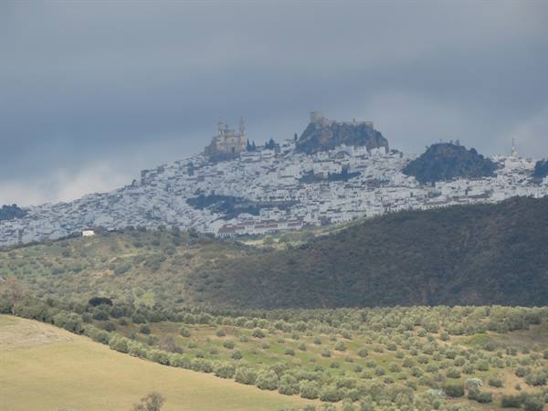 One of the Pueblos Blancos