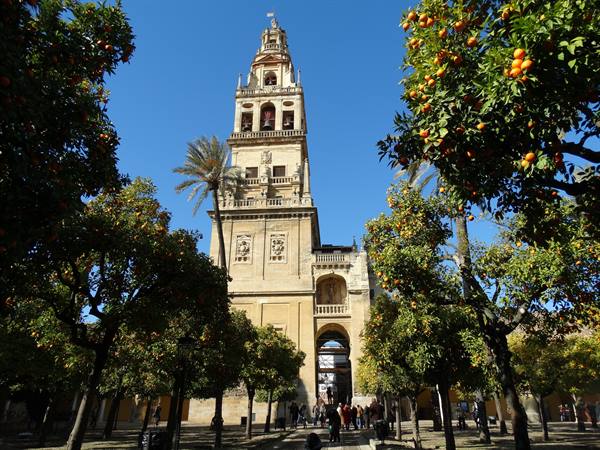 Córdoba, La Mezquita, Patio de los Naranjos