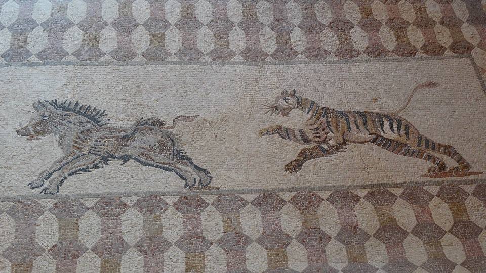 Kato Paphos