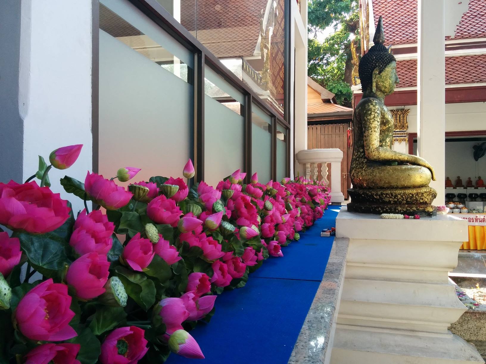 Statua di Buddha dorata tra fiori di loto rosa nel chiostro di un tempio