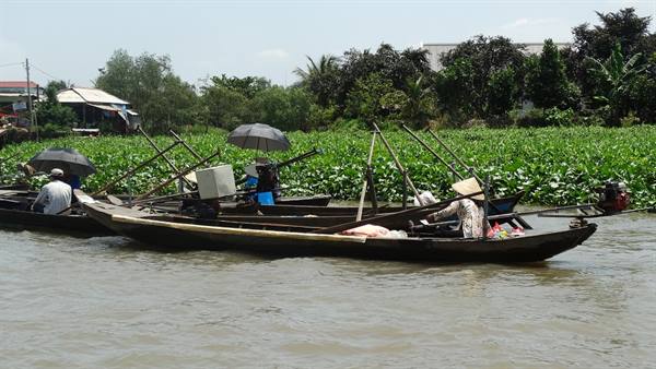 Mekong Delta