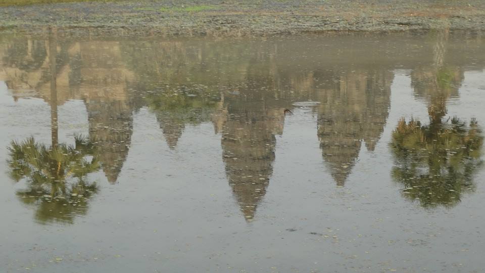 Angkor Wat