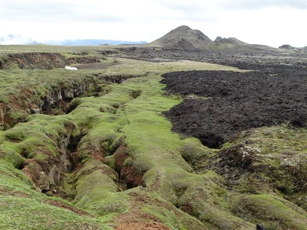 Krafla geothermal area..contrasts!