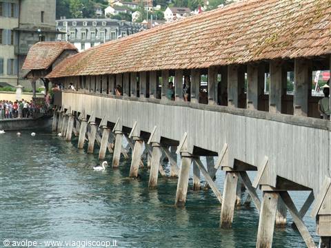 lucerne