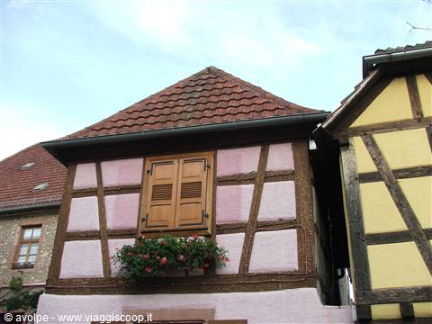 Ribeauvillé