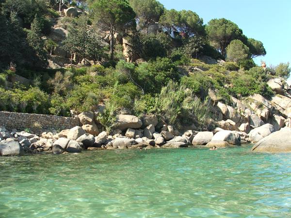 Clear green water among granite boulders and pine trees on the slope