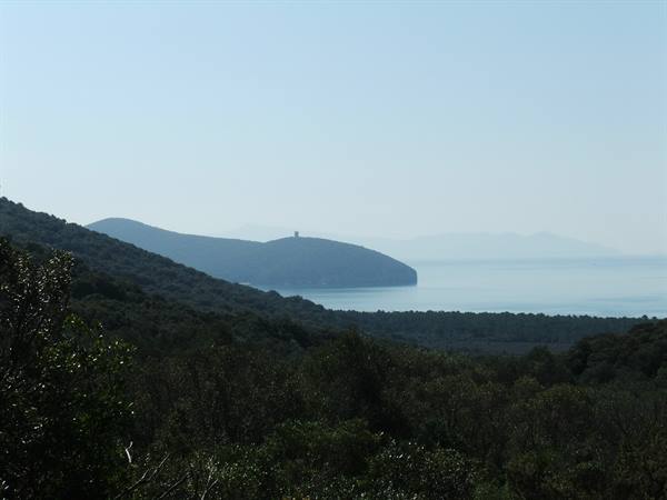 Mediterranean scrub in the foreground, rocky headland and hazy sea under blue sky