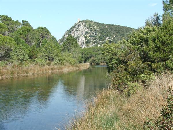 Calm river among reeds and pines, wooded rock with tower behind