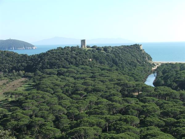 Ancient tower above the coastal pine forest of Maremma Park, river and sea
